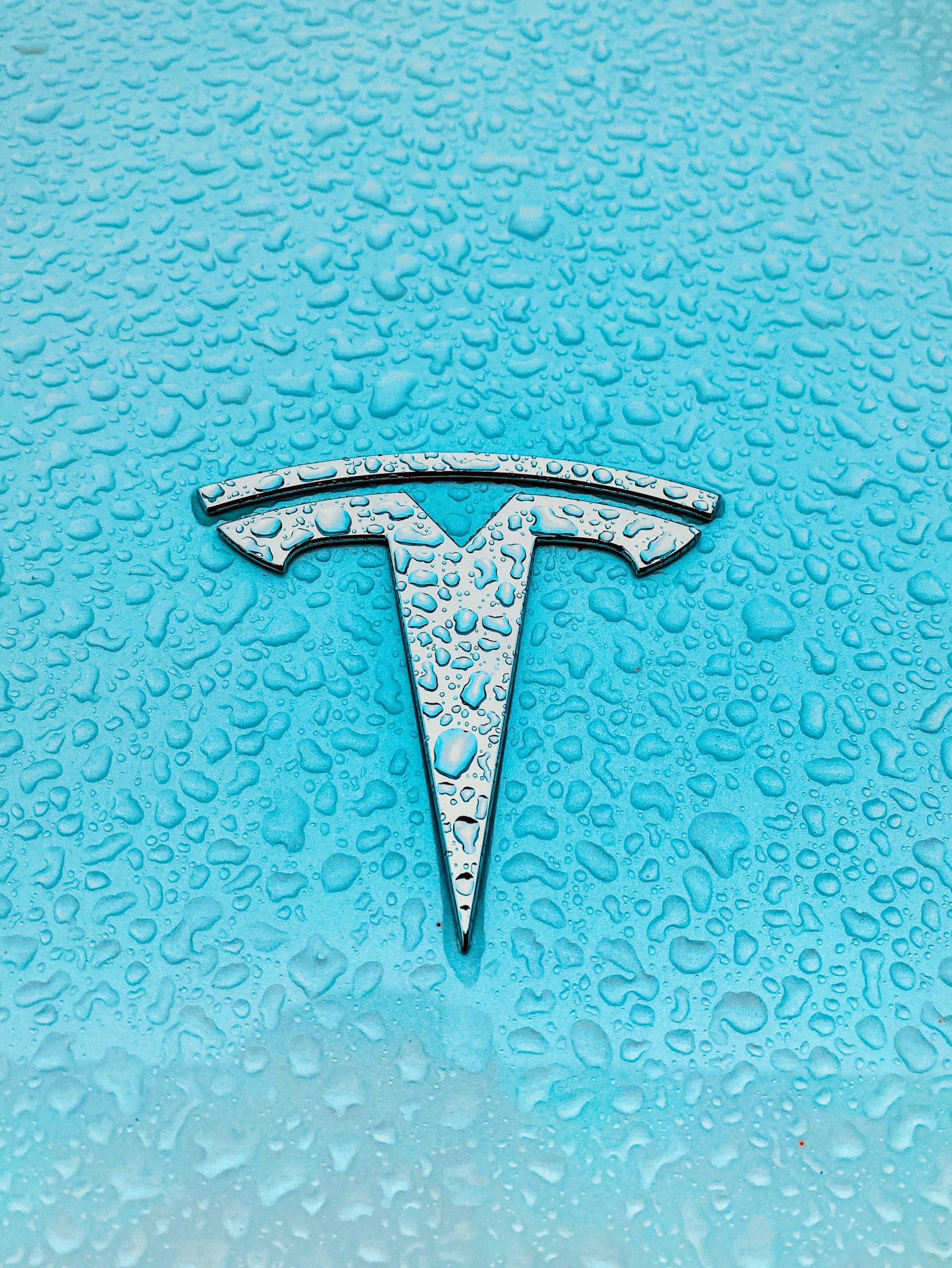 Tesla’s Lithium Iron battery switch is a good option for manufacturing.